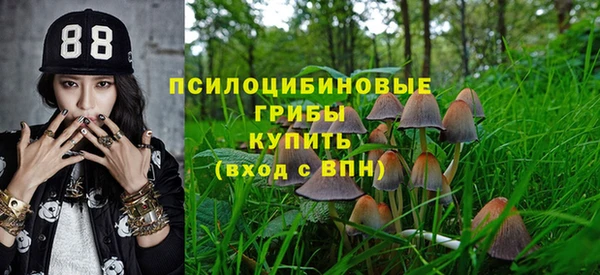 герыч Бородино