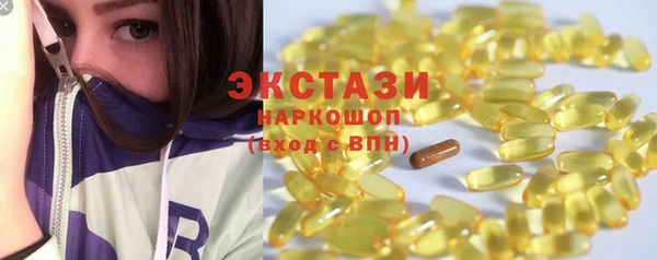 СК Бронницы